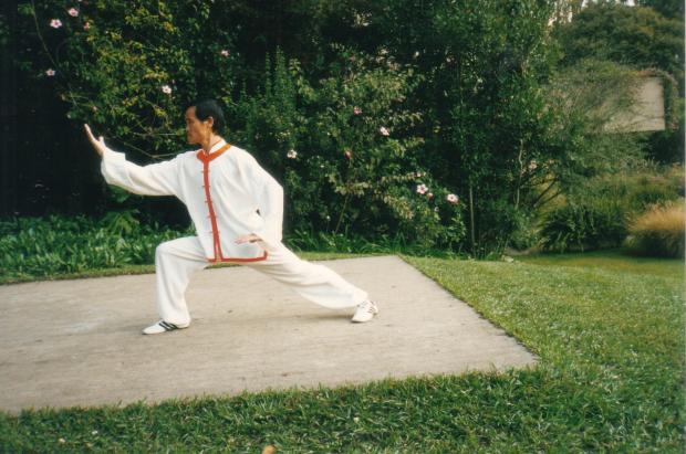 Mestre Xuan Wu, Jardins da Gulbenkian