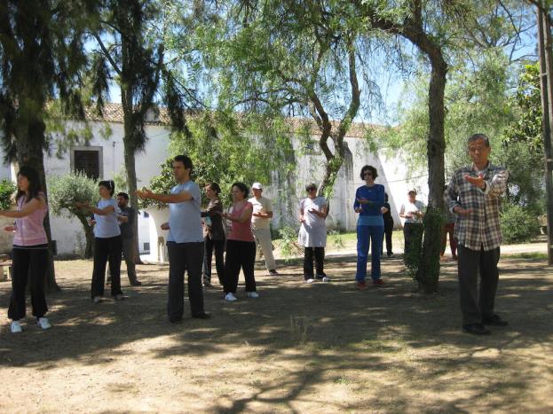Sessão de Chi Kung da tarde