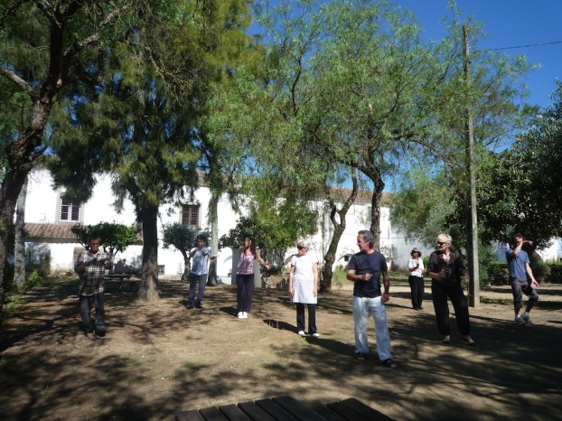 Sessão de Tai Chi
