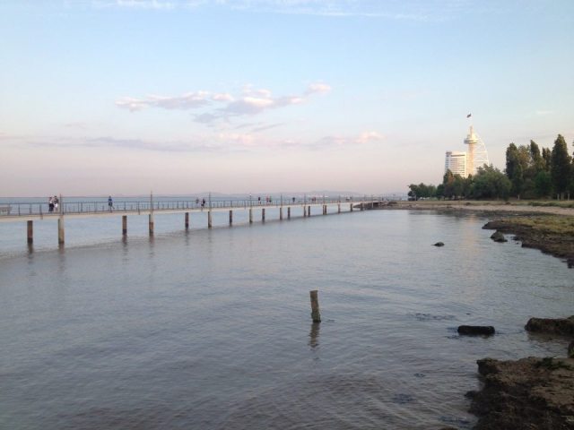 cai a tarde - Gena Lopes