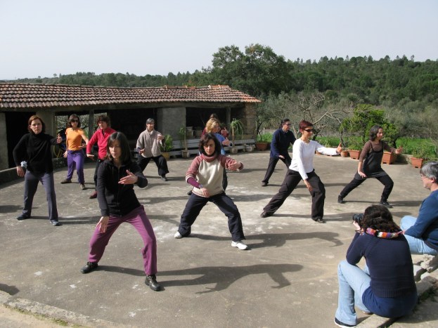 Tai Chi - início da Forma 40